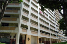 Blk 244 Bukit Panjang Ring Road (Bukit Panjang), HDB 4 Rooms #225422